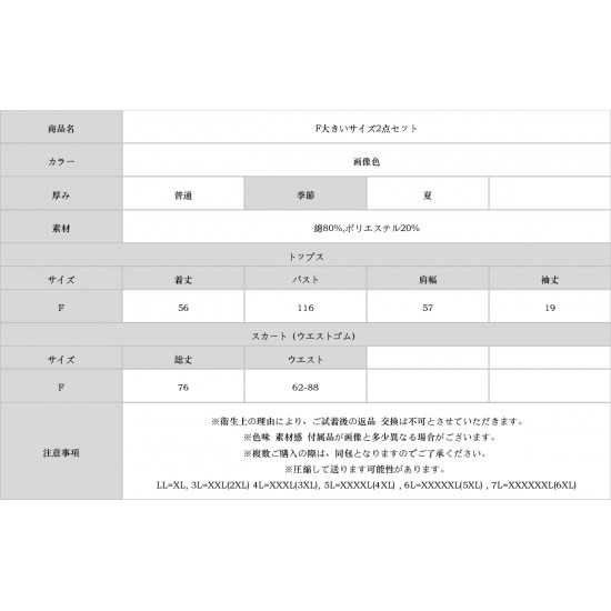 F大きいサイズ2点セット