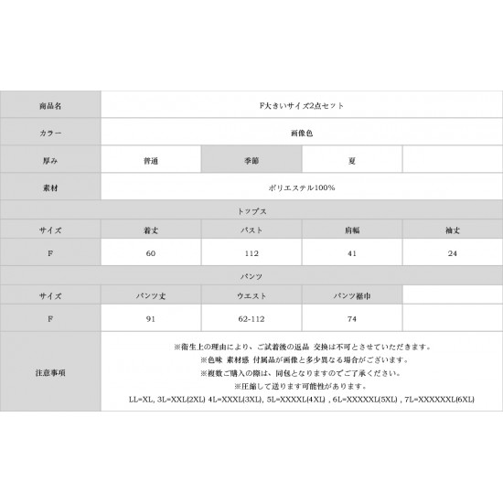 F大きいサイズ2点セット