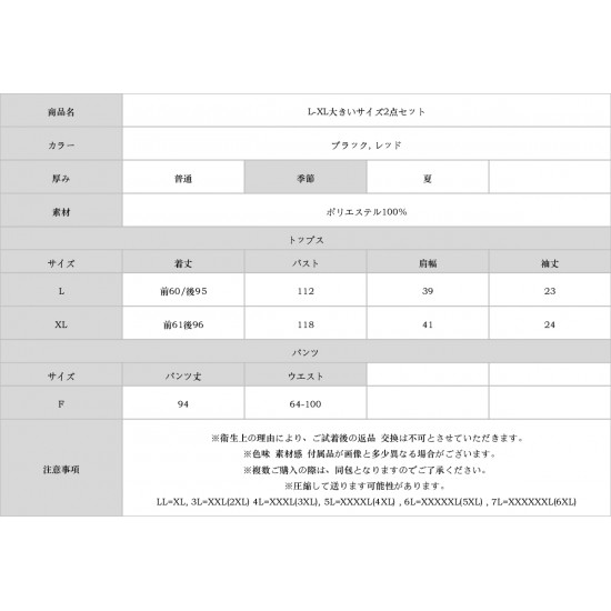 L-XL大きいサイズ2点セット